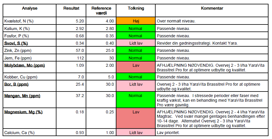 + 1 ton Raps, Standardstrategi, Nørregaard
