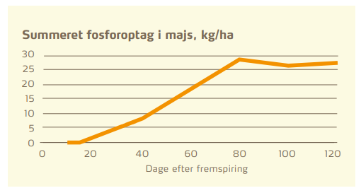 Fig 2 s 35 P-optag majs.PNG