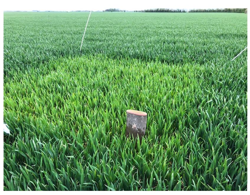 Nakskov Nulparcel 3.JPG