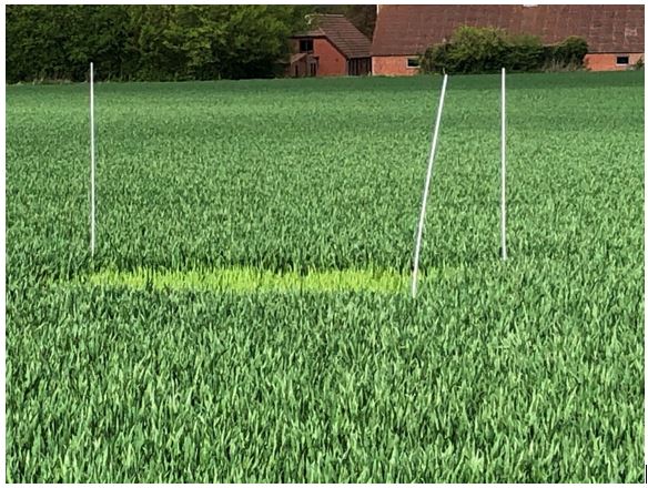 Struer 3 (Vest) Nulparcel 3.JPG