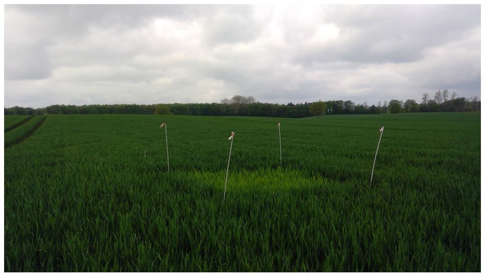 Vejle 1 Nulparcel 2.JPG