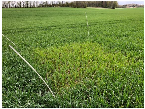 Sæderup (Søren) Nulparcel 2.JPG