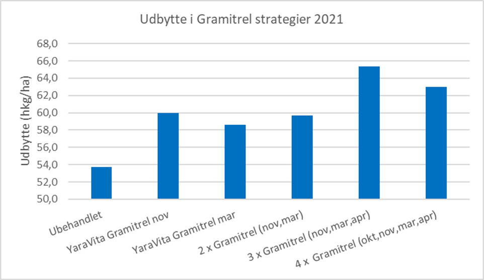 Merudbytte i vinterbyg 