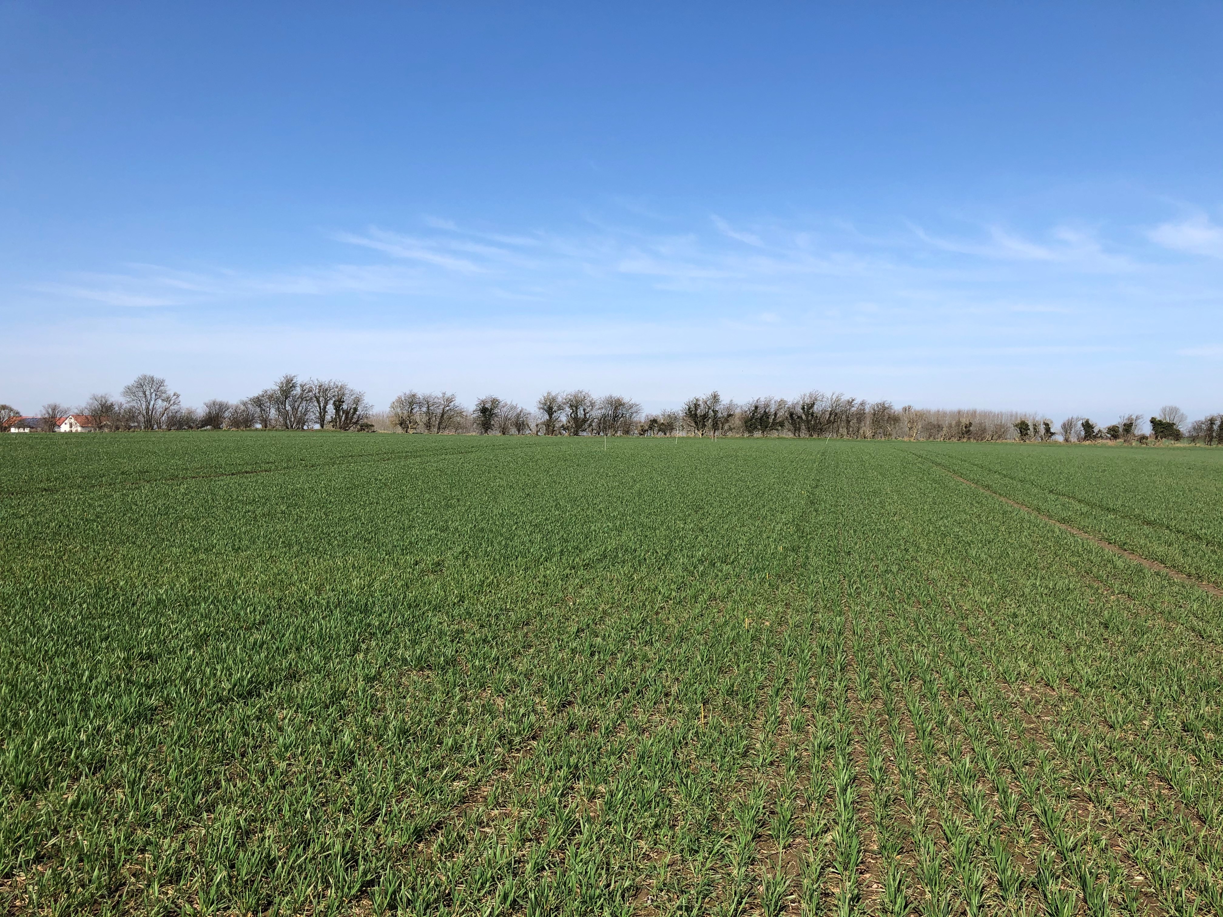 Haderslev 060421.jpg