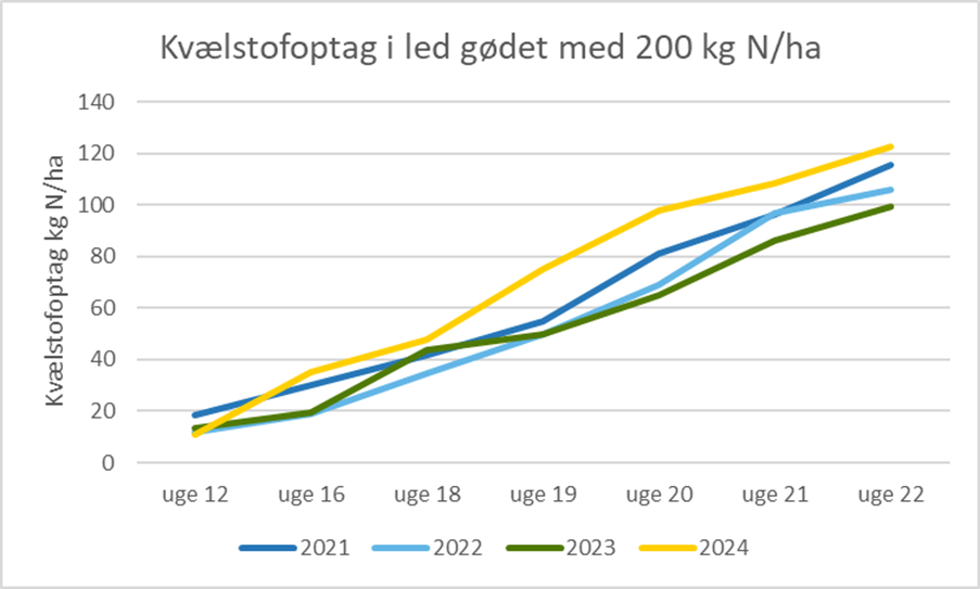 Kv&aelig;lstofoptag 3